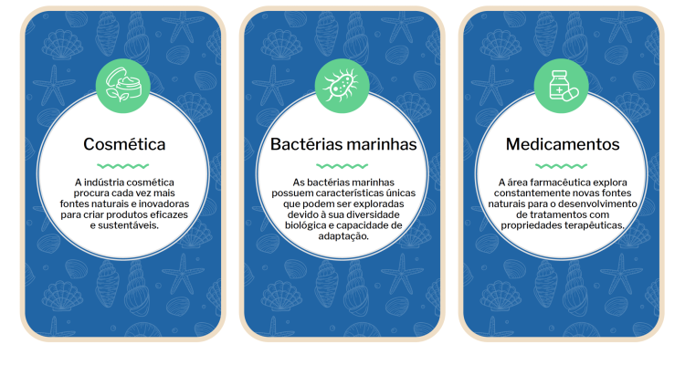 Screenshot 2025-10-28 at 16.17.43